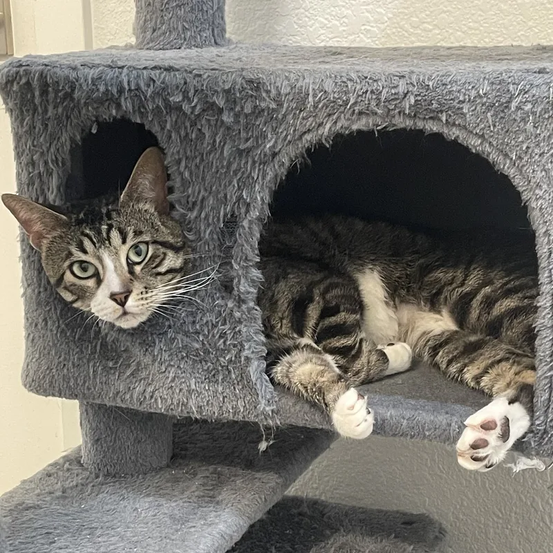 Rocky Road thumbnail 5