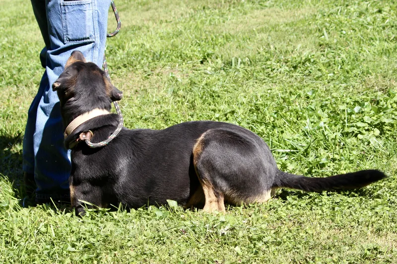 Johnny Cash thumbnail 2