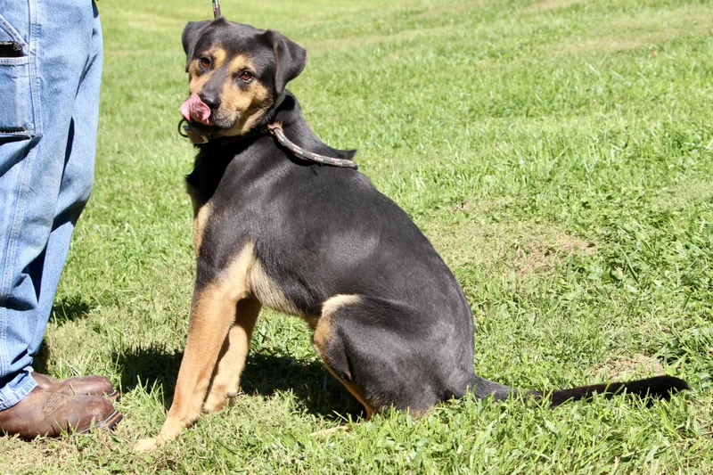 Johnny Cash thumbnail 4