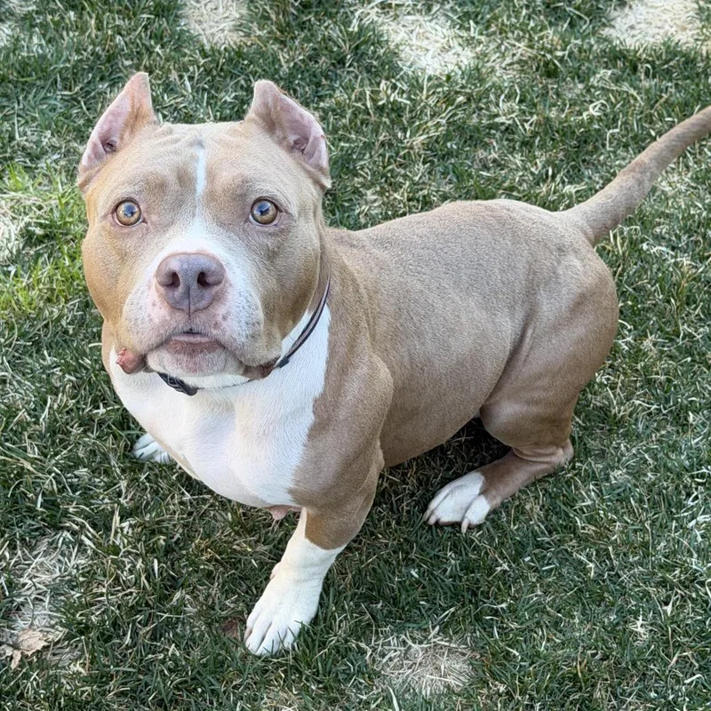 Charlene D thumbnail 2