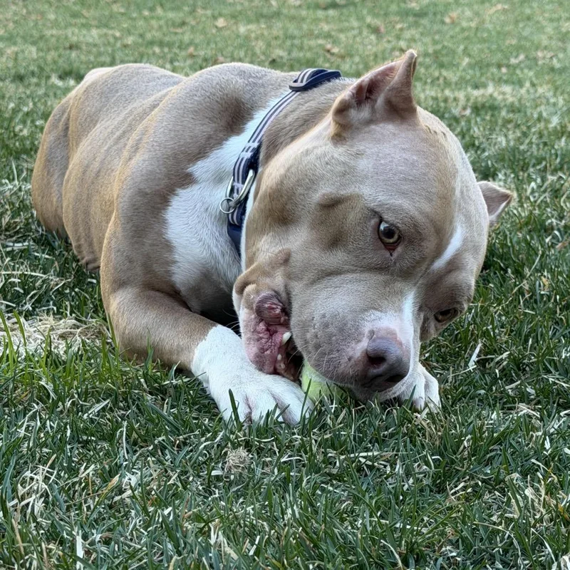 Charlene D thumbnail 4