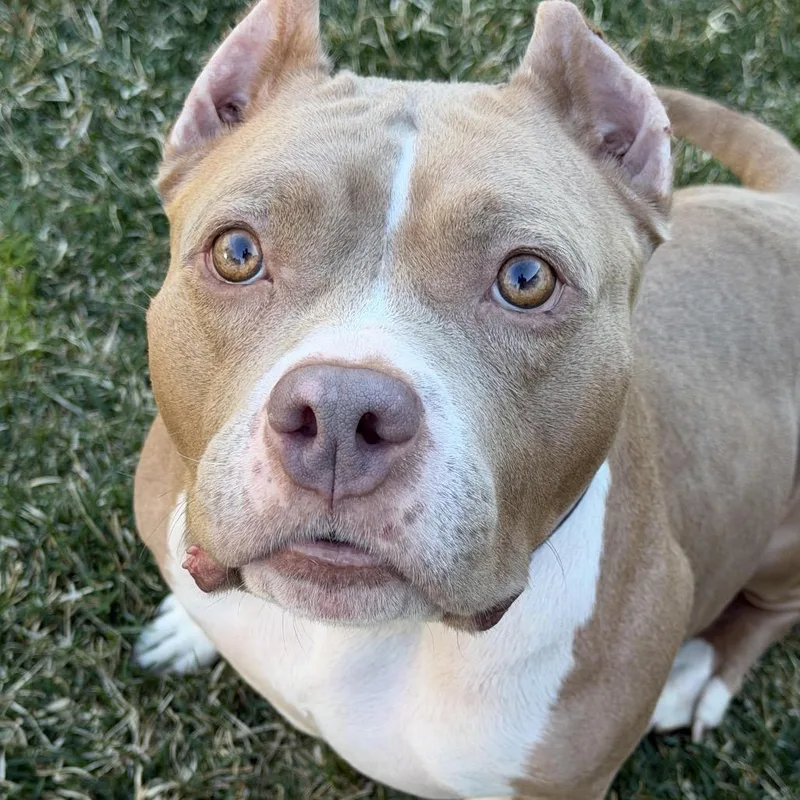 Charlene D thumbnail 5