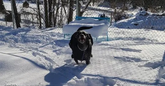 Midnight thumbnail 2