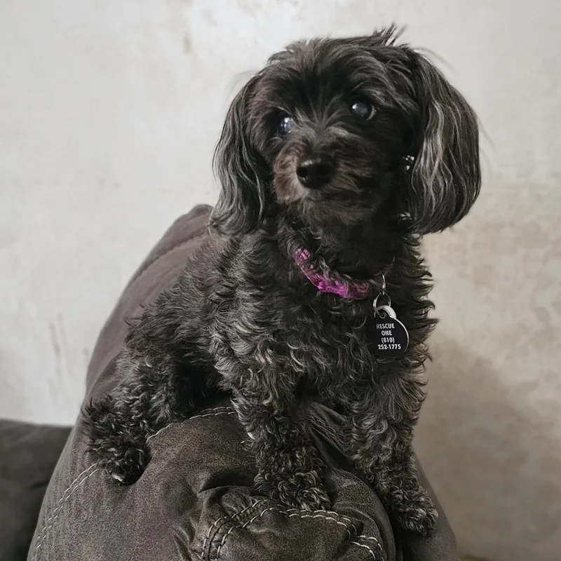 Molly thumbnail 6