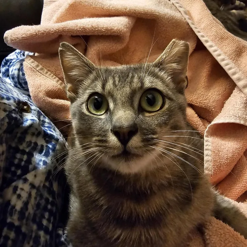 Robbie Rose thumbnail 2