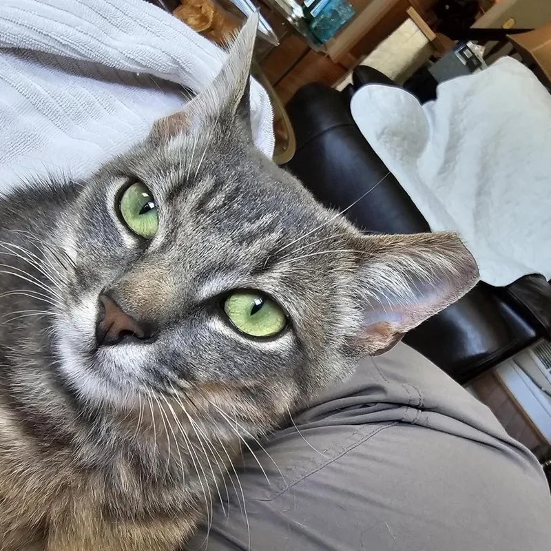 Robbie Rose thumbnail 3