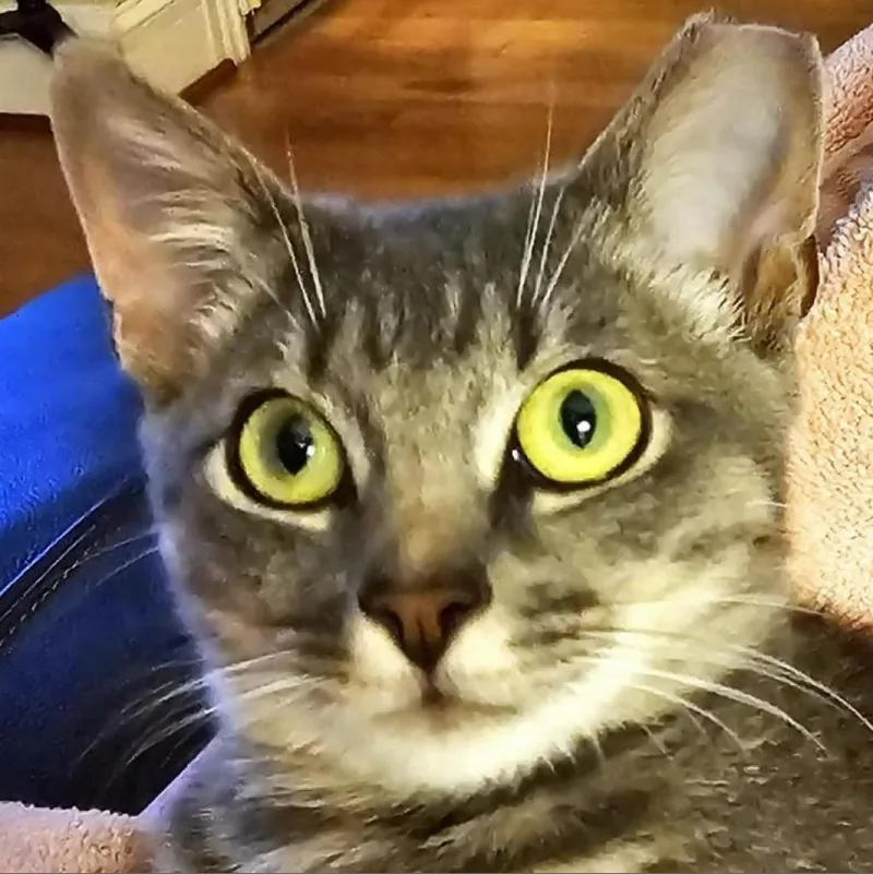 Robbie Rose thumbnail 4