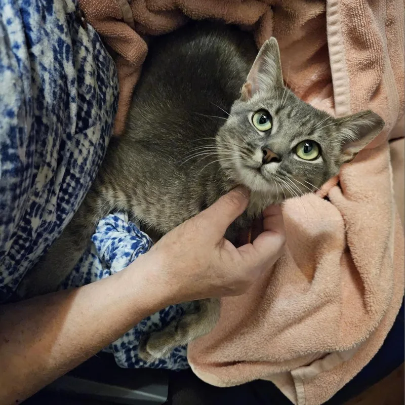 Robbie Rose thumbnail 5