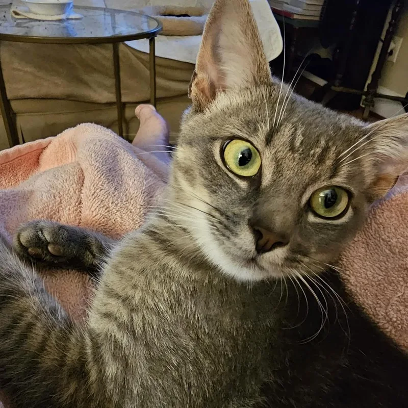 Robbie Rose thumbnail 6