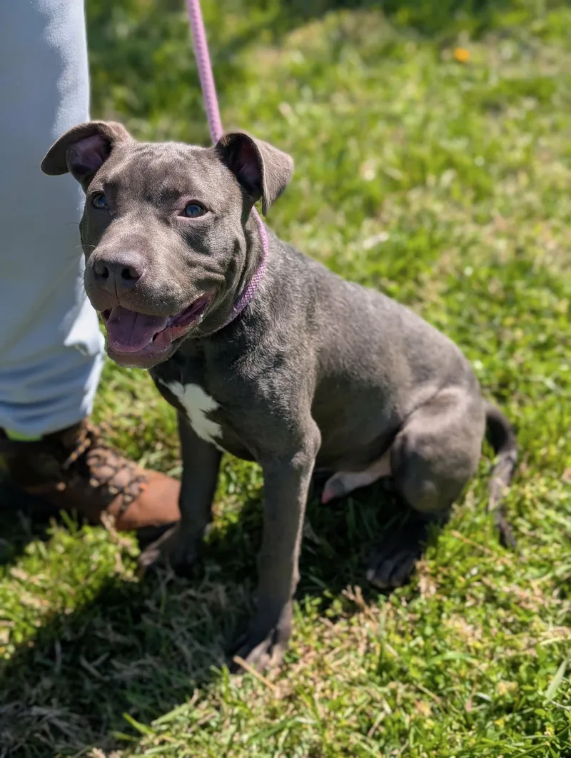 California thumbnail 2