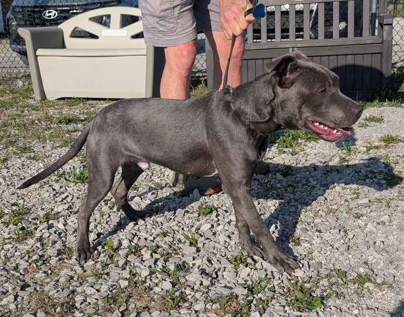 California thumbnail 3