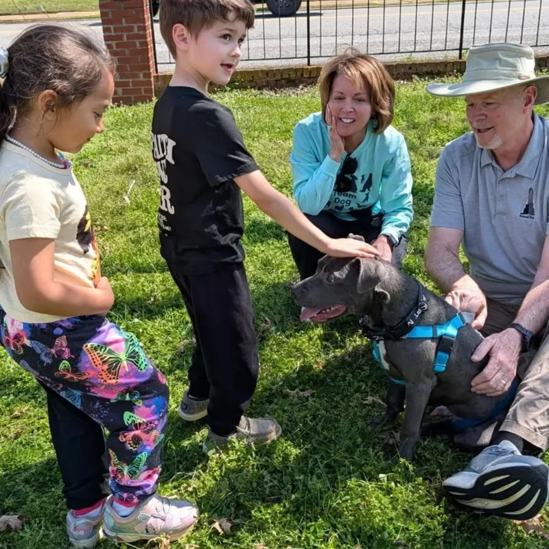 California thumbnail 4