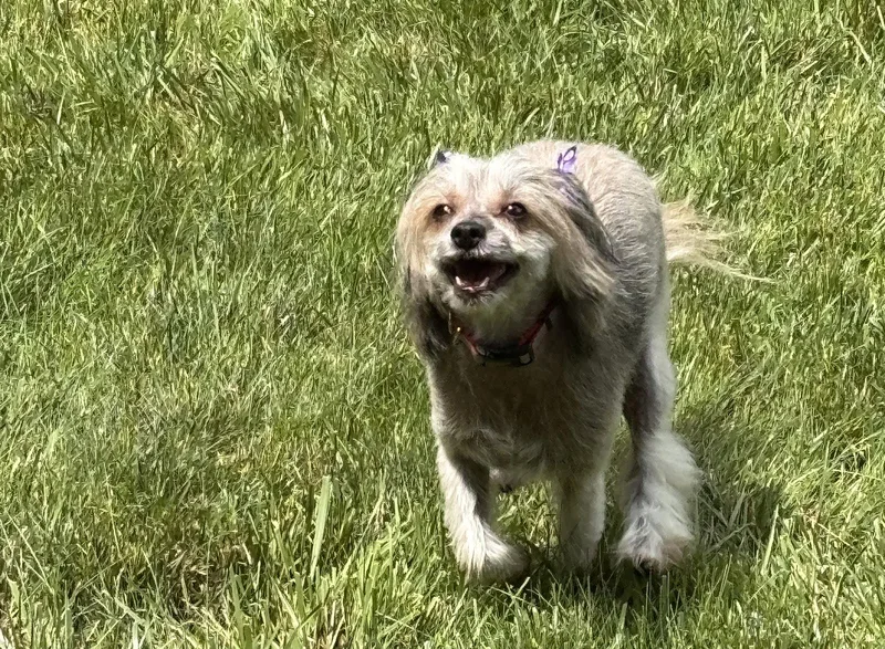Sasha In Cincinnati Ohio thumbnail 3