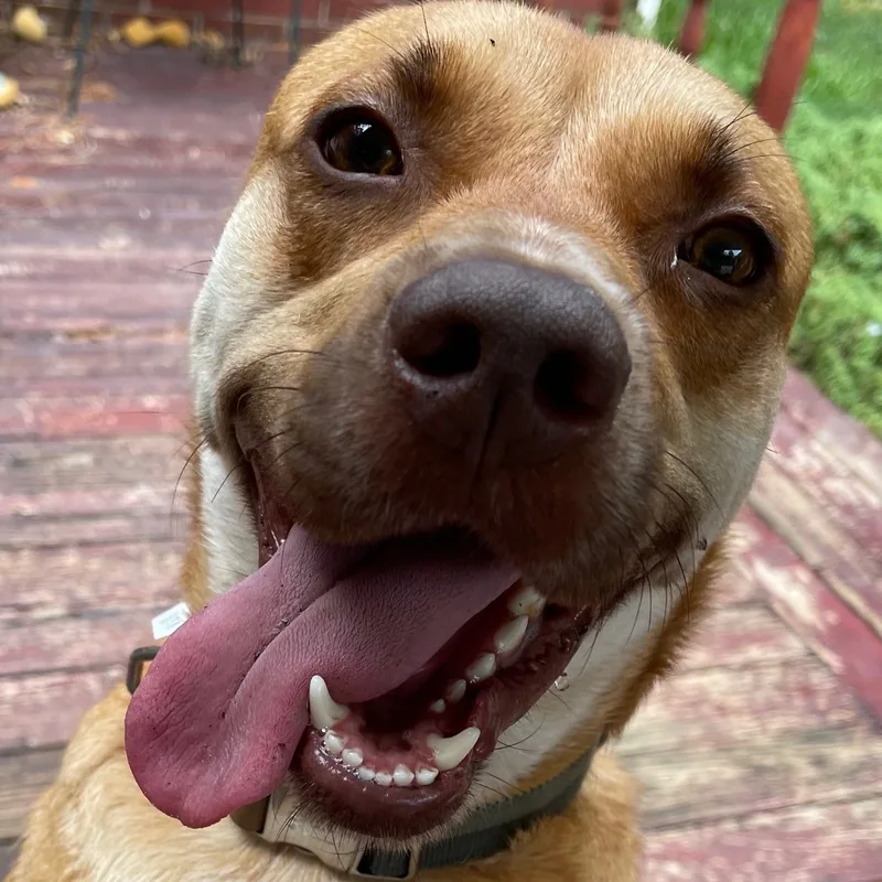 Kobe Aka Koberton & thumbnail 2