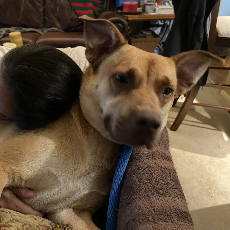 Kobe Aka Koberton & thumbnail 3