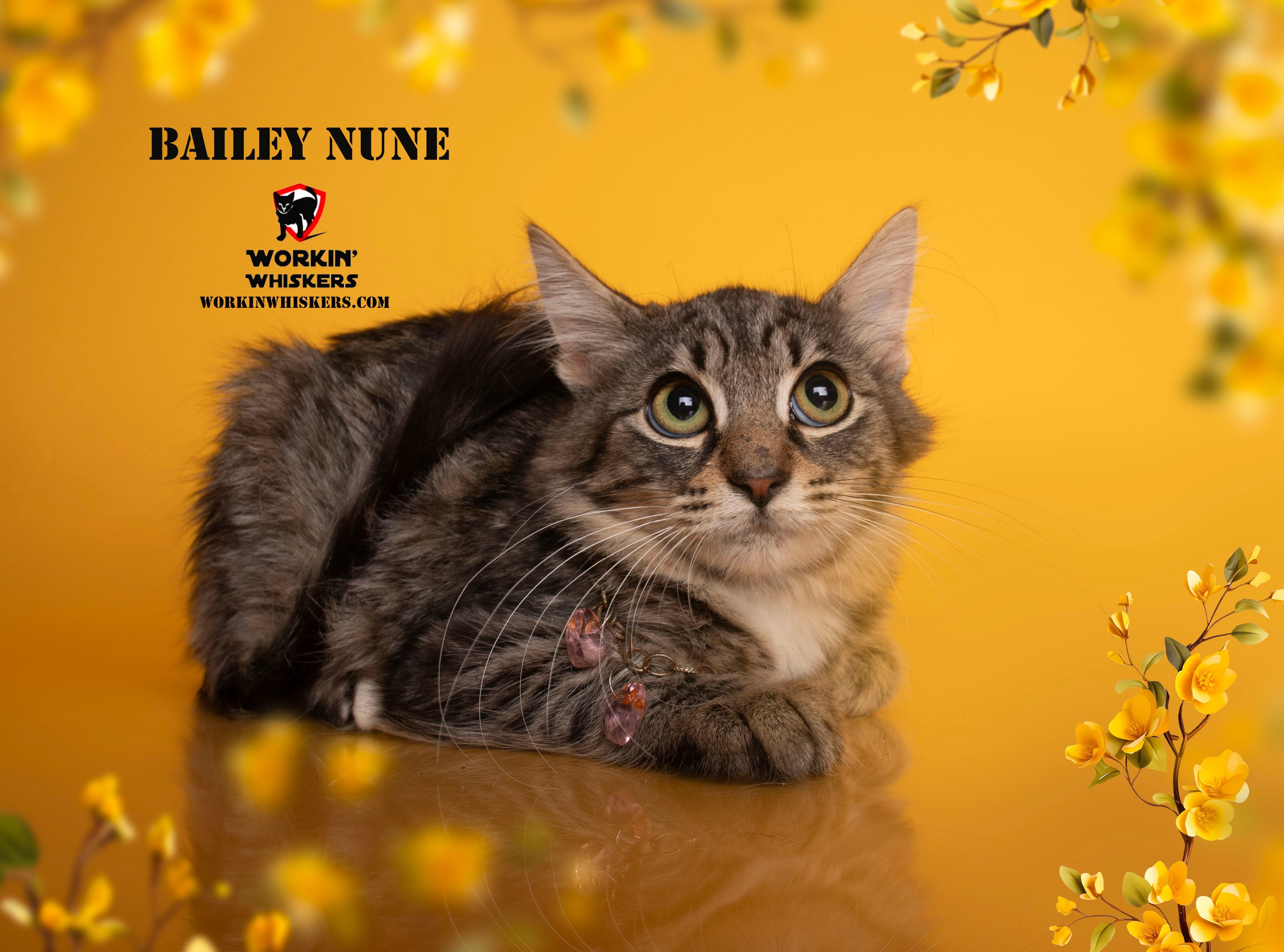 Bailey Nune thumbnail 4