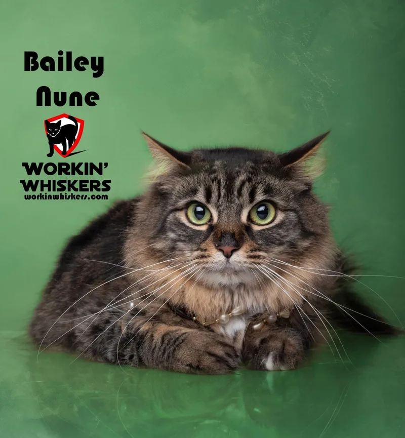 Bailey Nune thumbnail 5