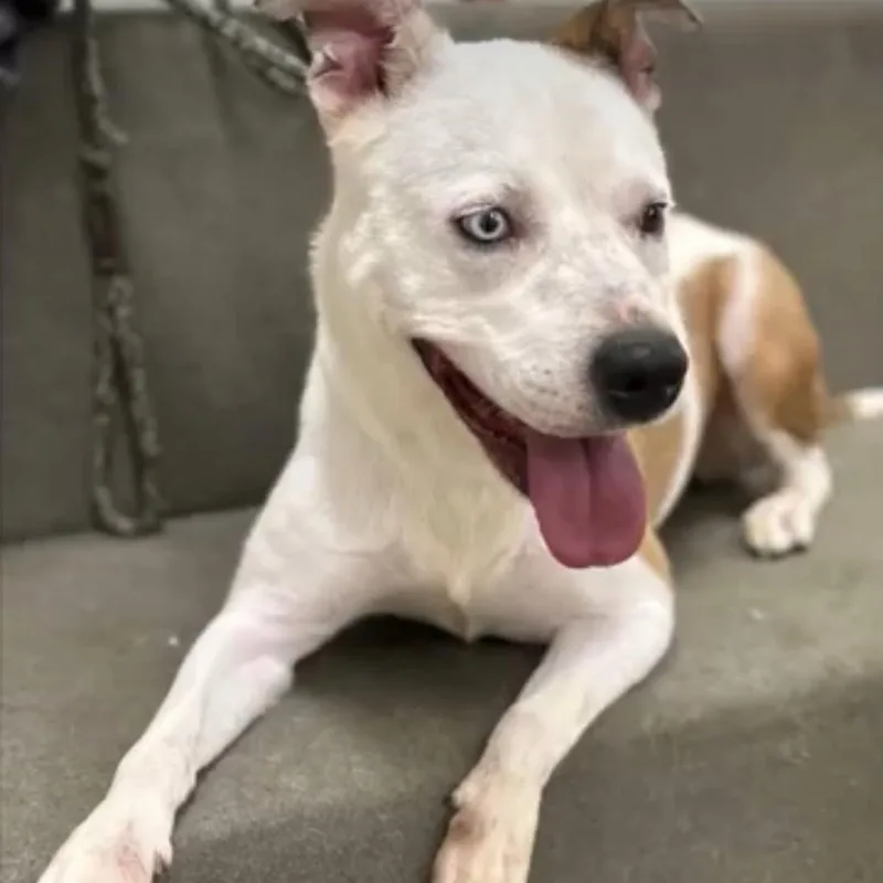 Lunasweet  Affectionate And thumbnail 4