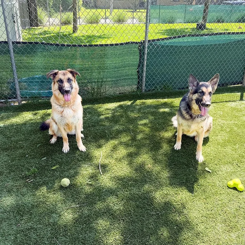 Bella And Maya thumbnail 3