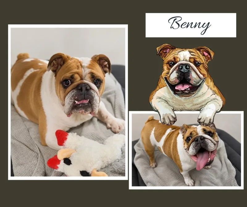 Benny thumbnail 3