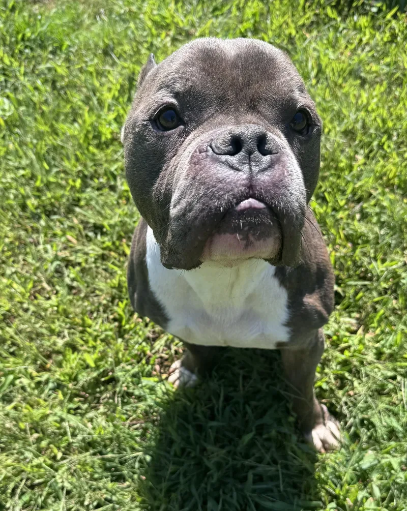 Jax