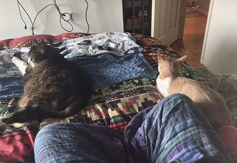 Ruby Tuesdays thumbnail 2