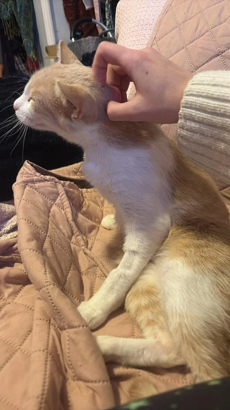 Ruby Tuesdays thumbnail 4