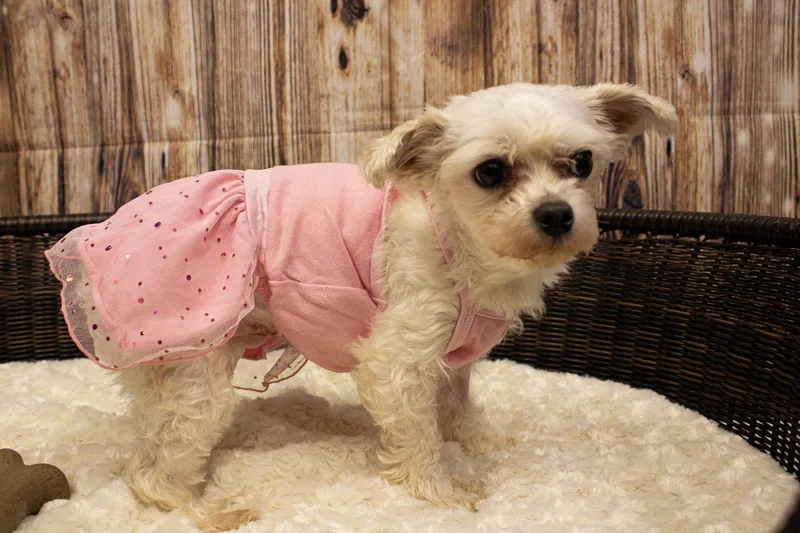 Stacie thumbnail 3