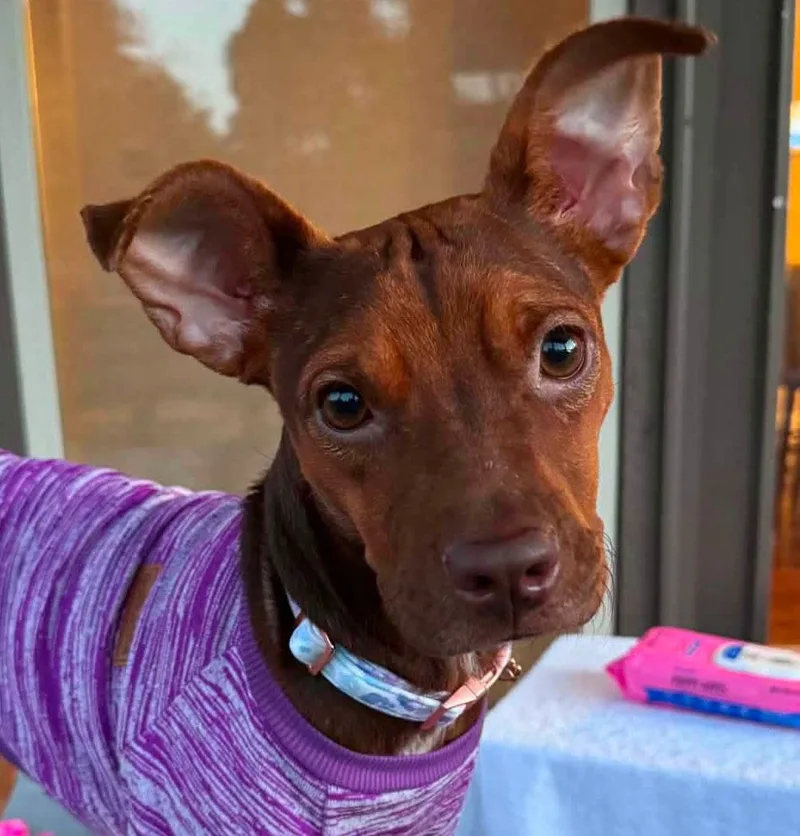 Fiona