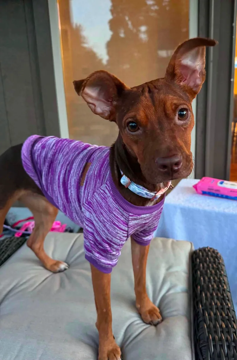 Fiona thumbnail 2