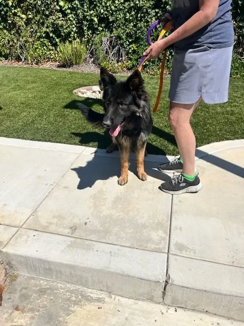 Weeny Cooper thumbnail 4