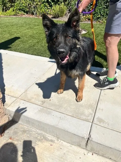 Weeny Cooper thumbnail 5