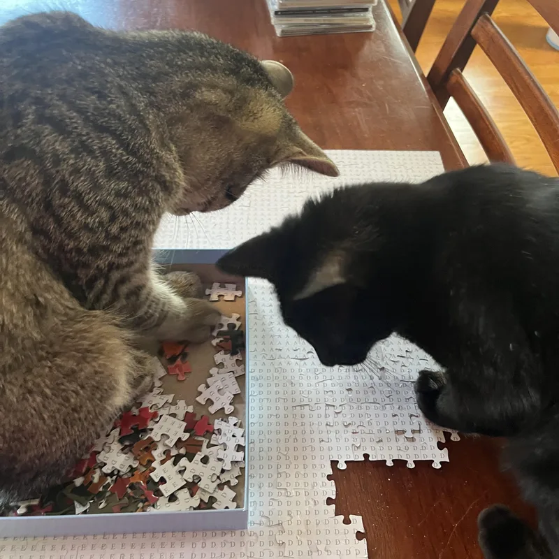 Barrett The Sweet Tempered thumbnail 3