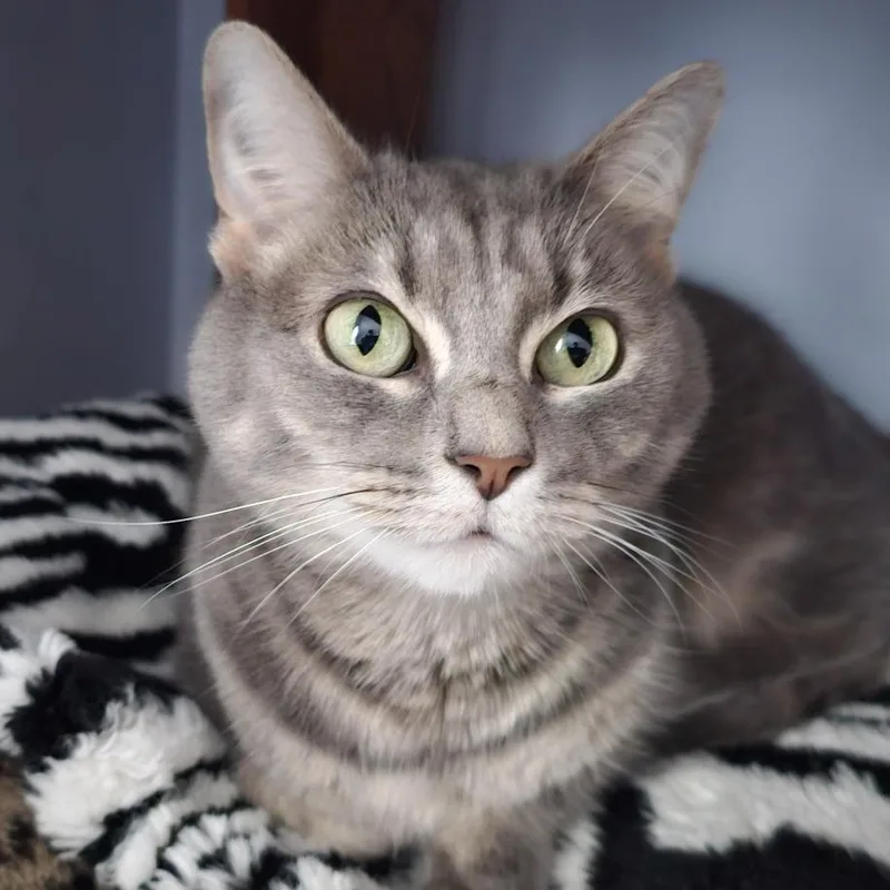 Mimi thumbnail 3