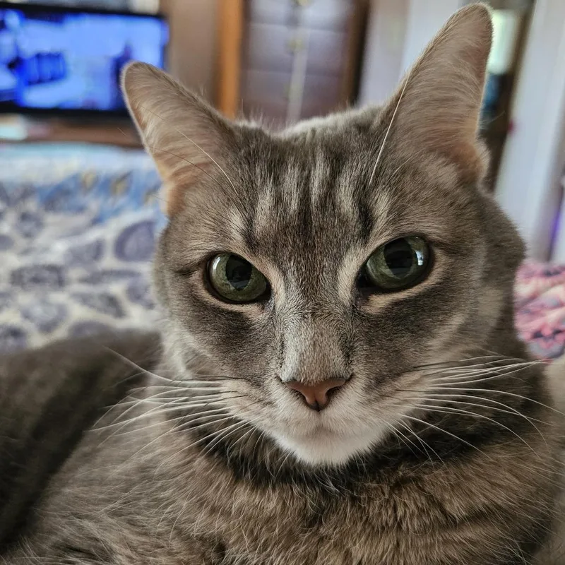 Mimi thumbnail 5