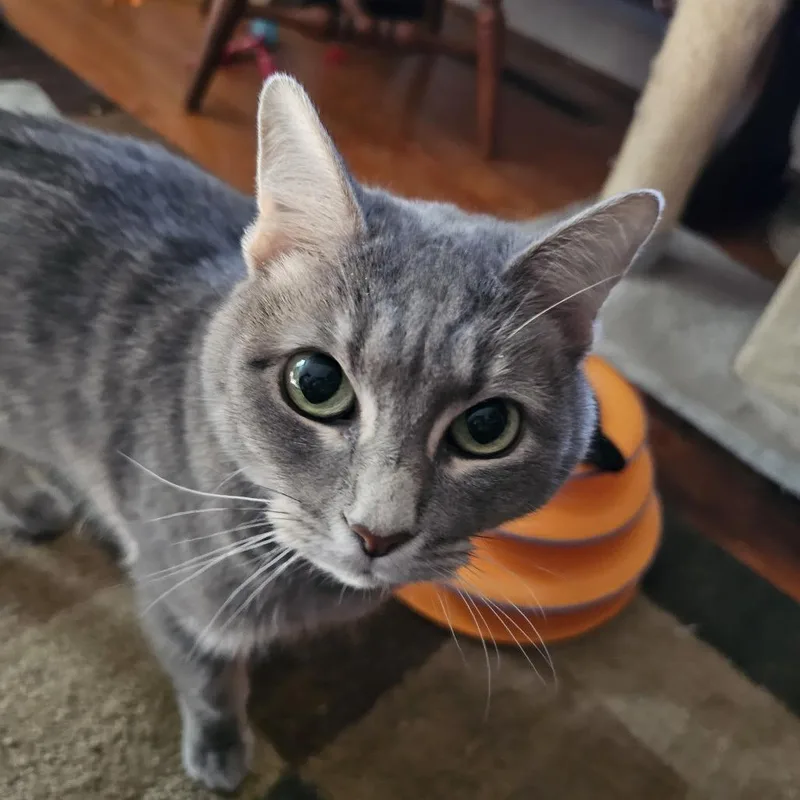 Mimi thumbnail 6