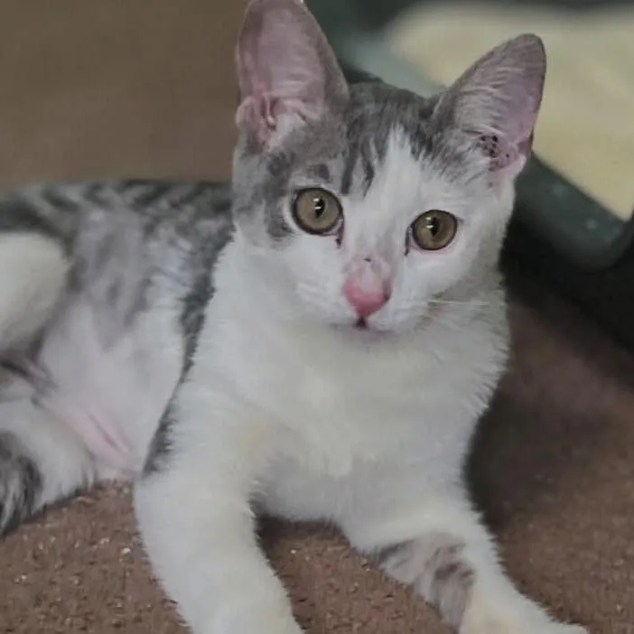 Chloe thumbnail 3
