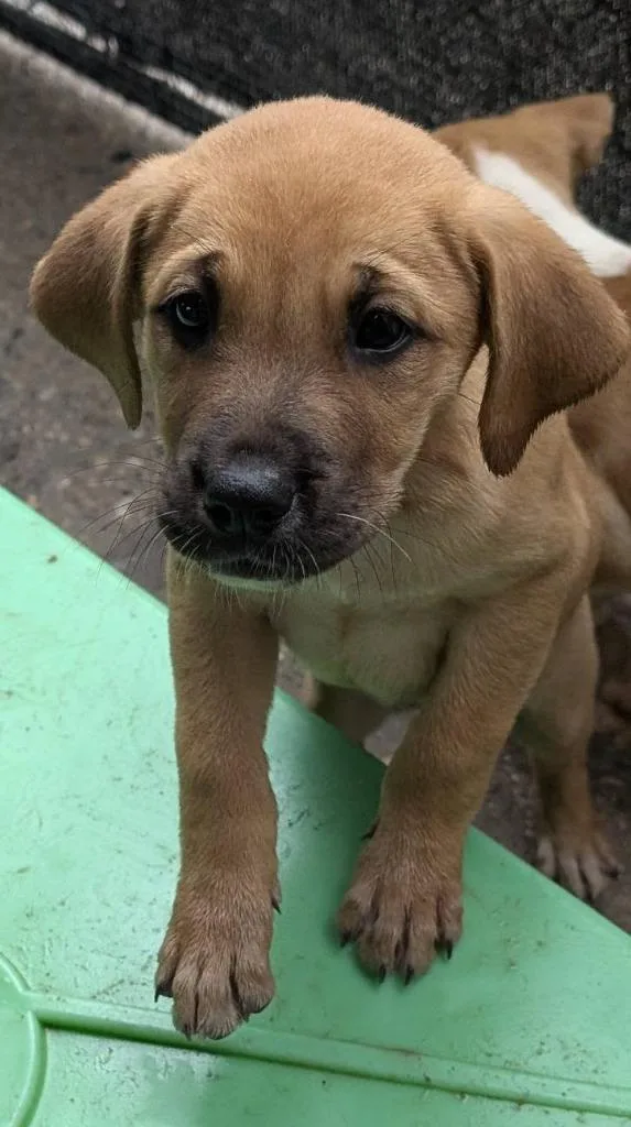 Otis Spunkmeyer thumbnail 2