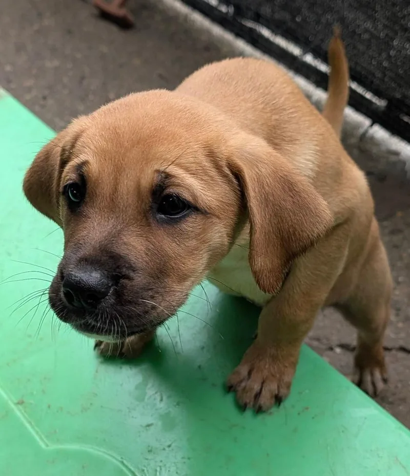 Otis Spunkmeyer thumbnail 3