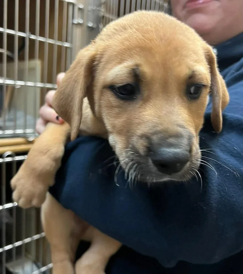 Otis Spunkmeyer thumbnail 4