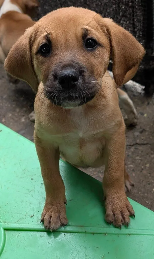 Otis Spunkmeyer thumbnail 5