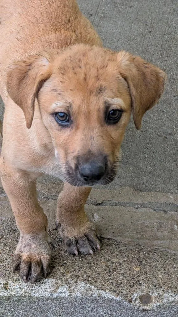 Otis Spunkmeyer thumbnail 6