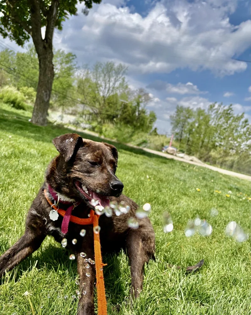 Betty thumbnail 4