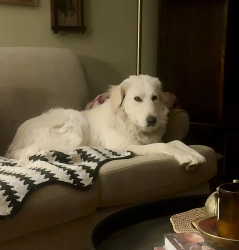 Chloe Atx thumbnail 2