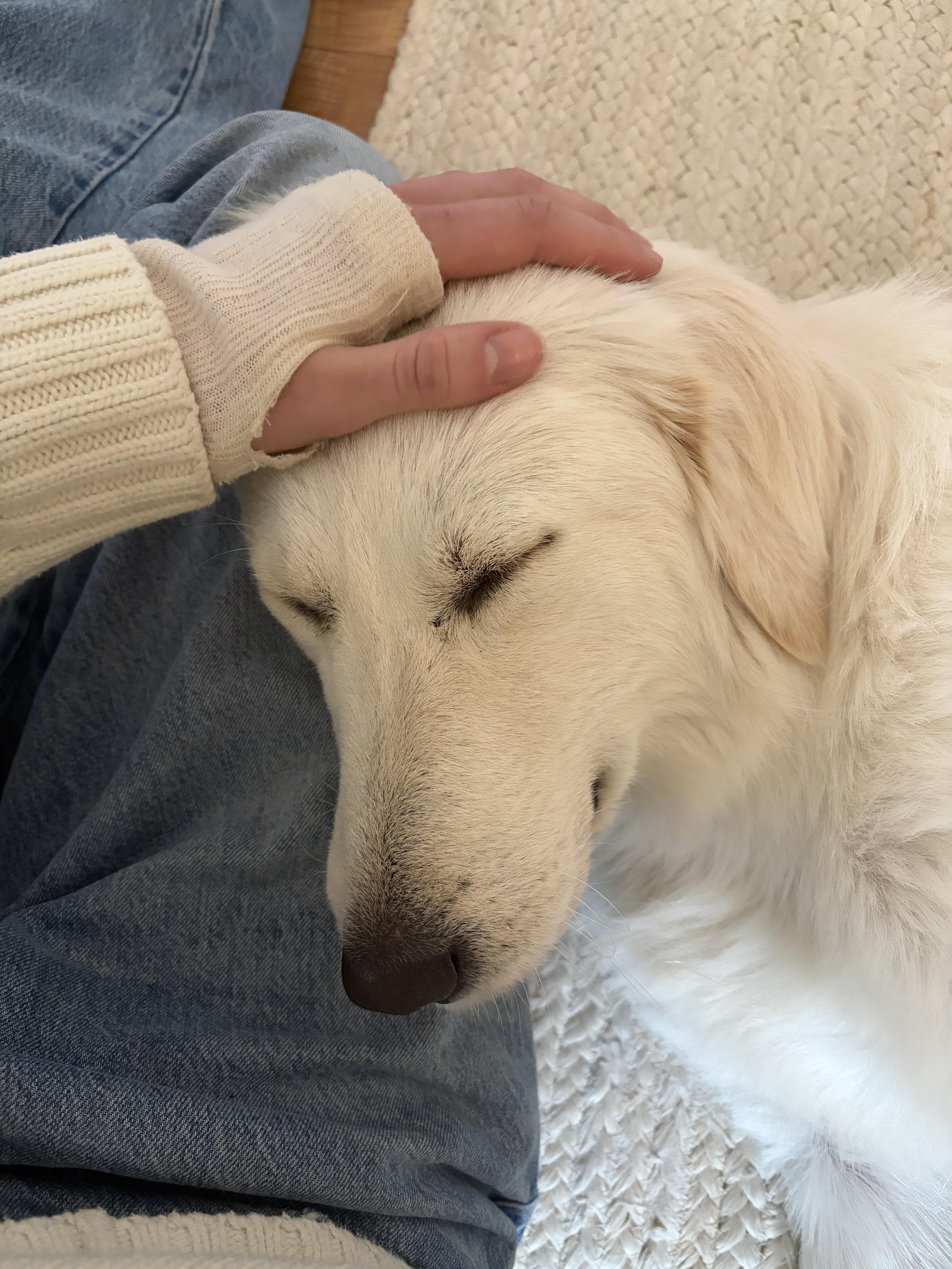 Chloe Atx thumbnail 6