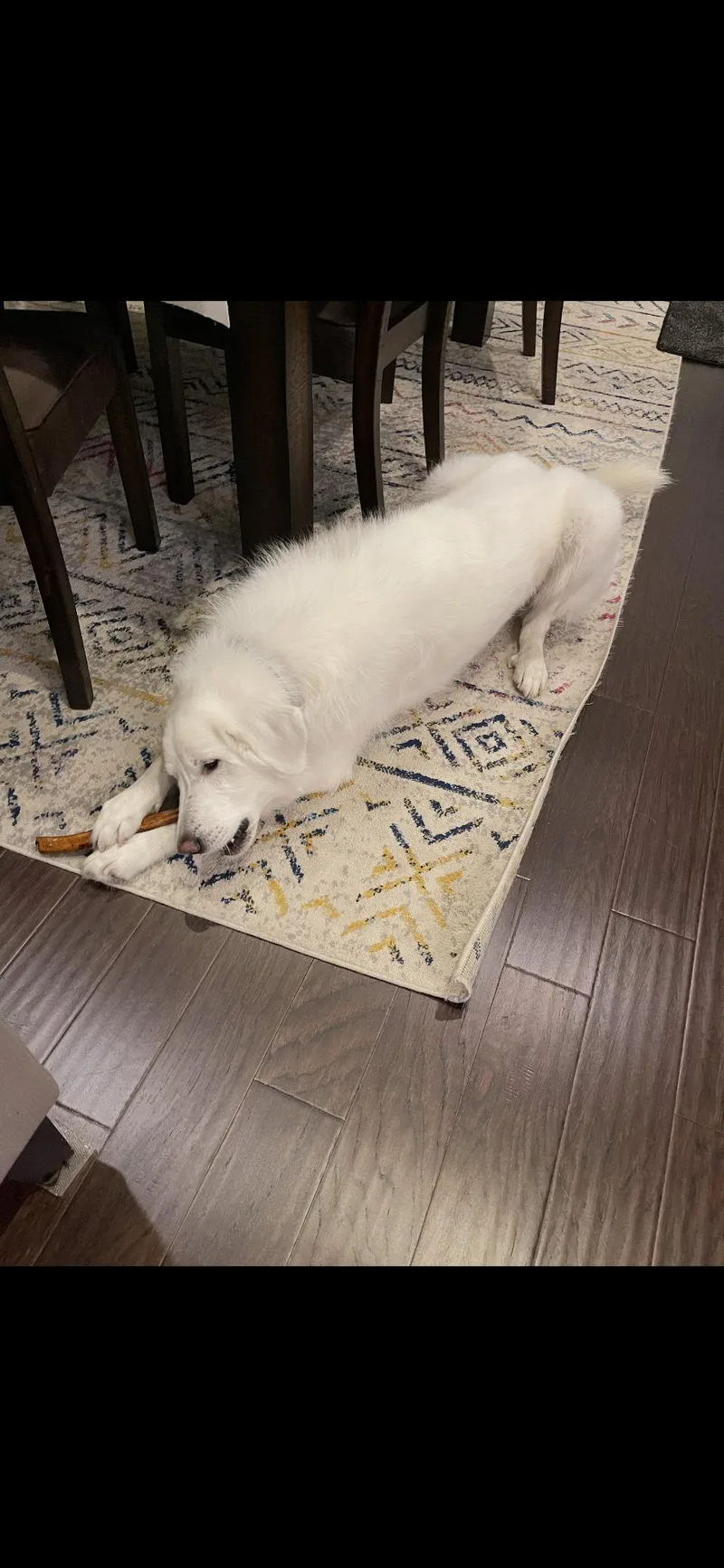 Turkey Htx thumbnail 6