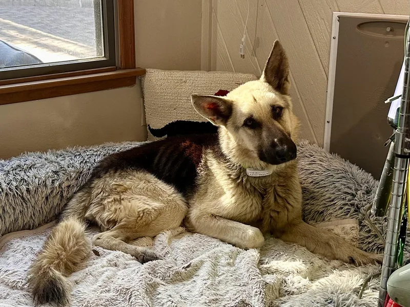 Arlo – From Abandoned thumbnail 5