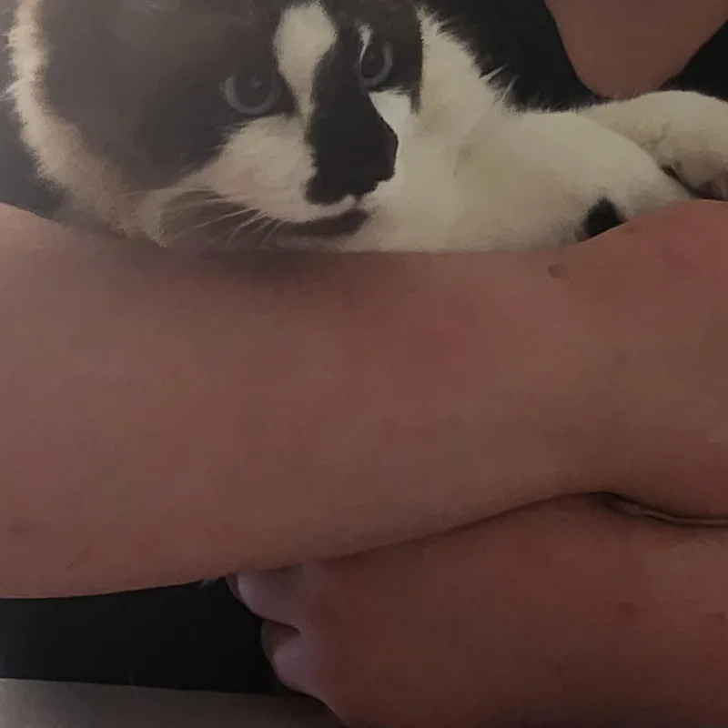 Bruno thumbnail 6