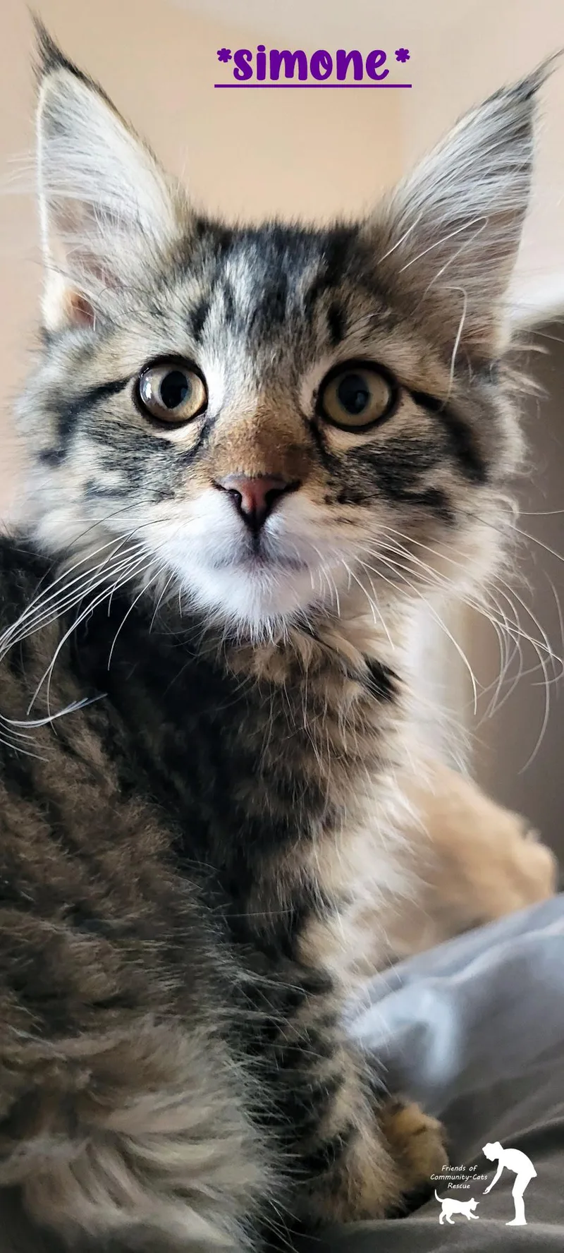 Simone