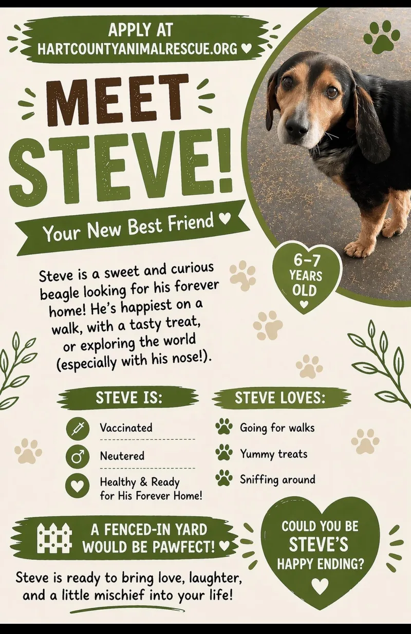 Steve